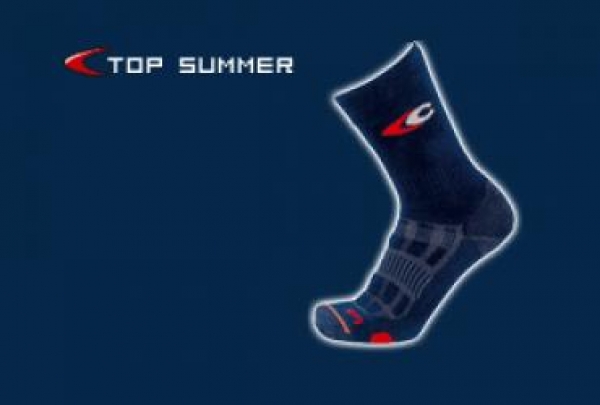 COFRA Arbeits-Berufs-Socken, Top Summer blau