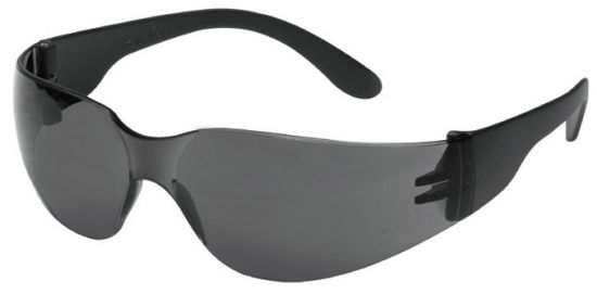 F-TECTOR-Schutzbrille, '*CHAMP*, grau